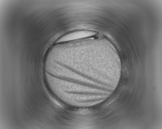 X0000065990445200603311935