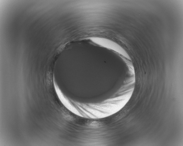 X0000065990467200603311935