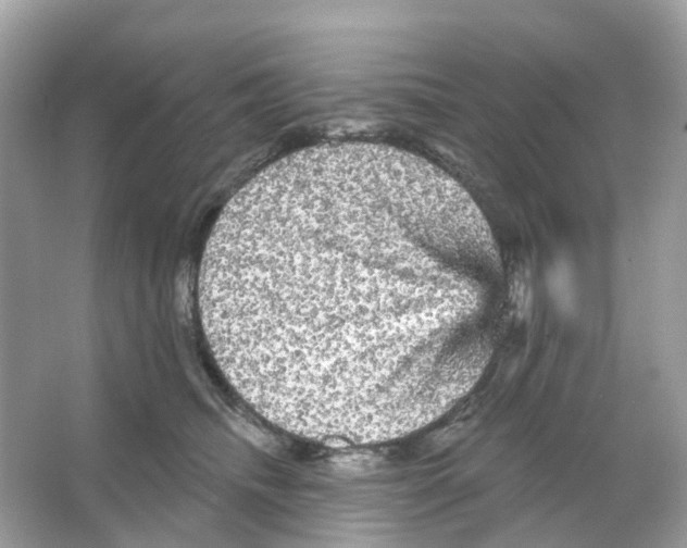X0000065990468200603311935
