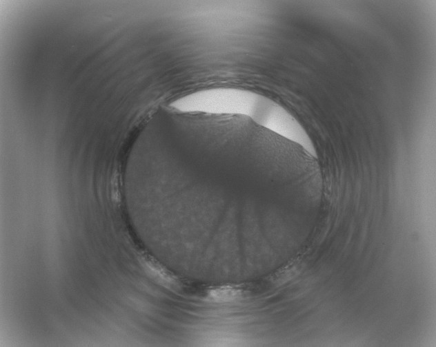 X0000065990470200603311935