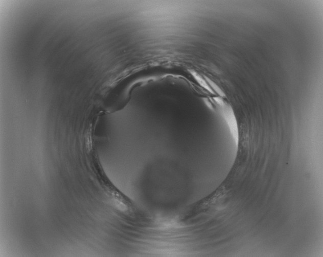 X0000065990471200603311935