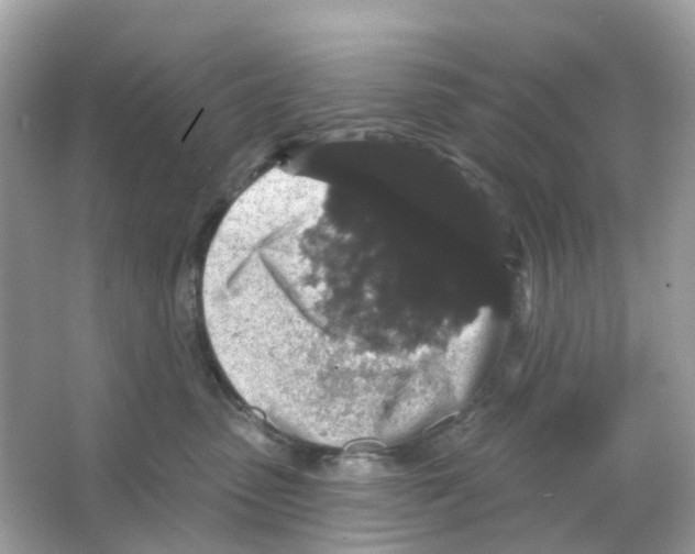 X0000065990475200603311935