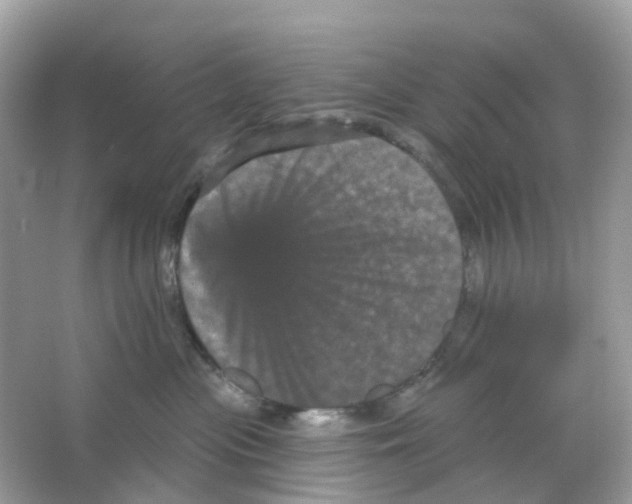 X0000065990477200603311936