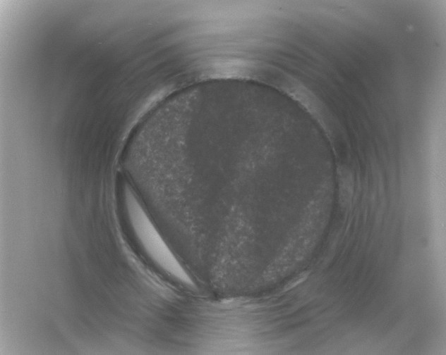 X0000065990482200603311935