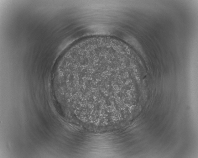 X0000065990483200603311935