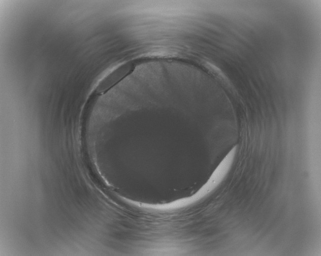 X0000065990484200603311935