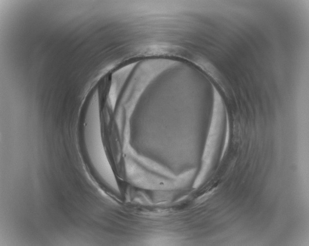 X0000065990485200603311935