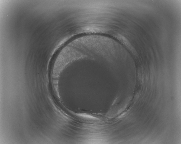 X0000065990488200603311935