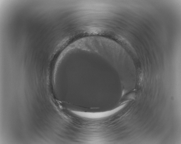 X0000065990496200603311935