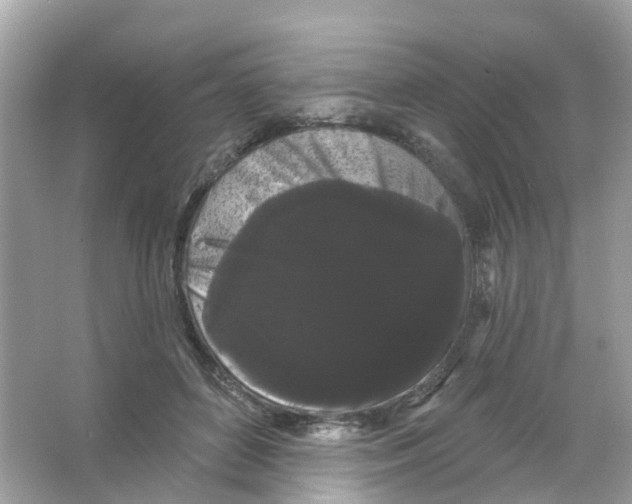 X0000065990504200603311934