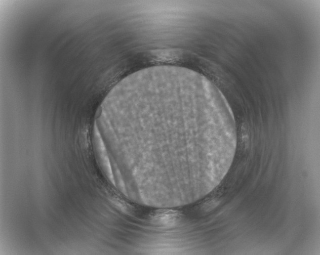 X0000065990514200603311934