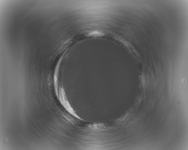 X0000065990517200603311934