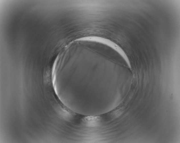 X0000065990526200603311934