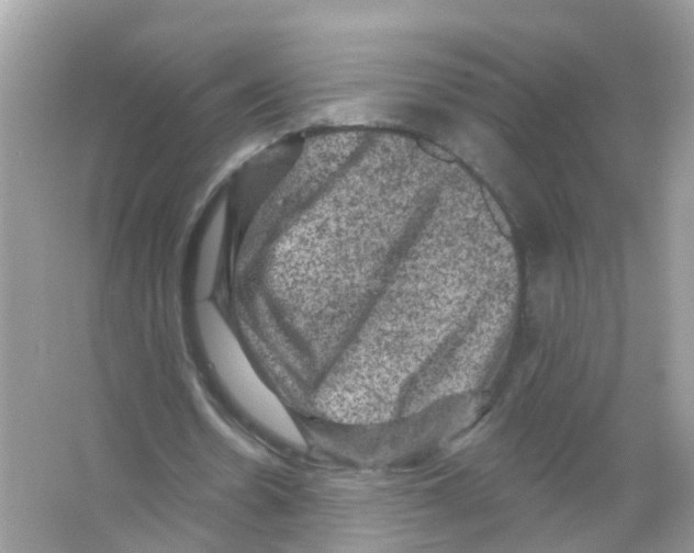 X0000065990530200603311933