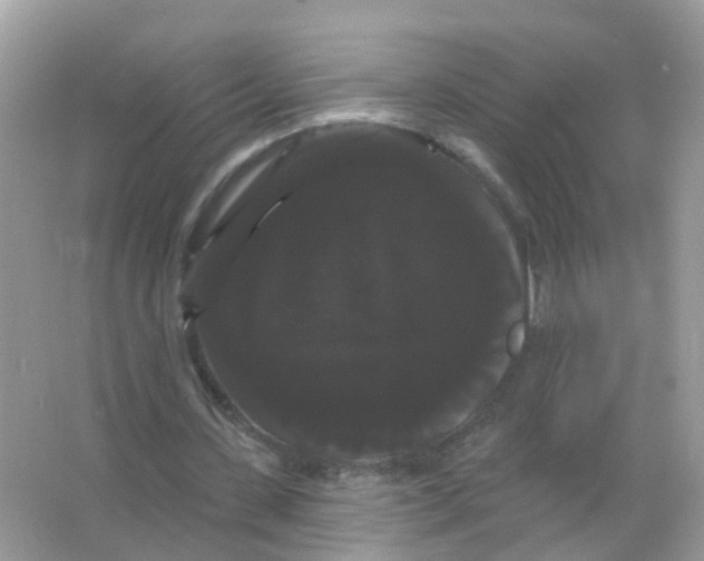 X0000065990531200603311933