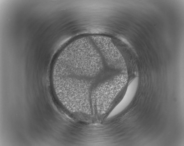 X0000065990536200603311933
