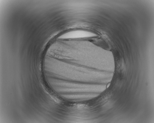 X0000065990539200603311933