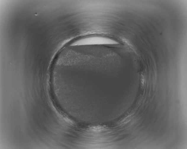 X0000065990540200603311933