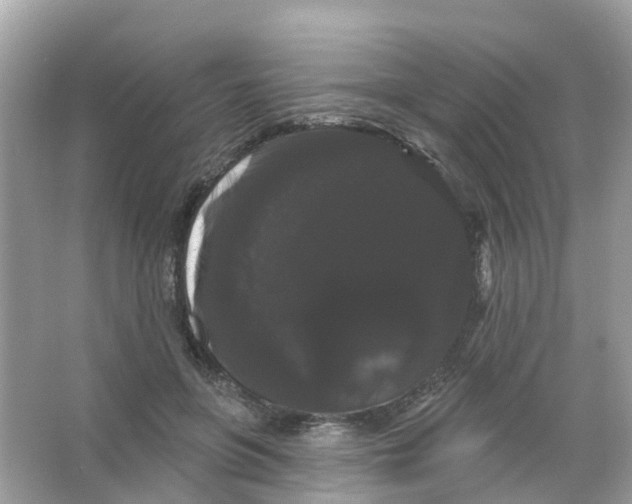X0000065990551200603311934
