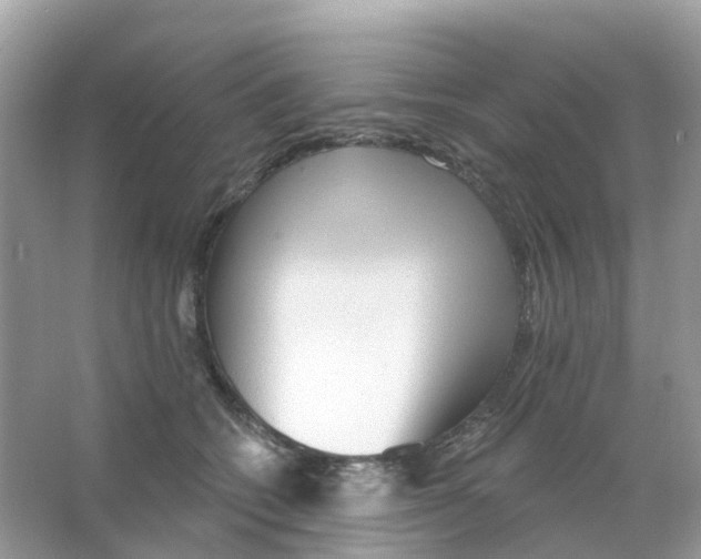 X0000065990562200603311934