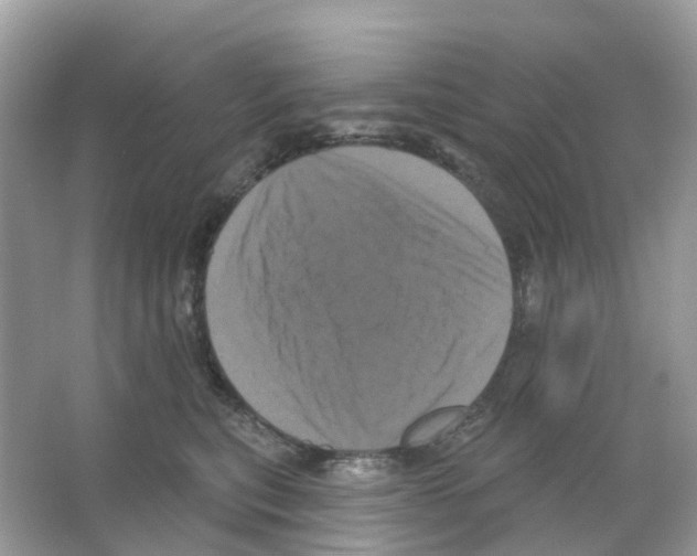 X0000065990567200603311934