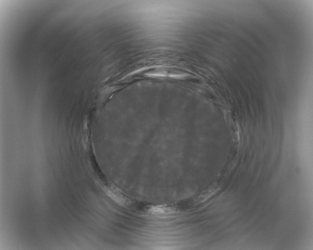 X0000065990568200603311934