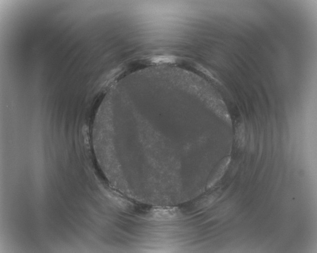 X0000065990571200603311934