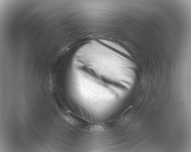 X0000065990572200603311934
