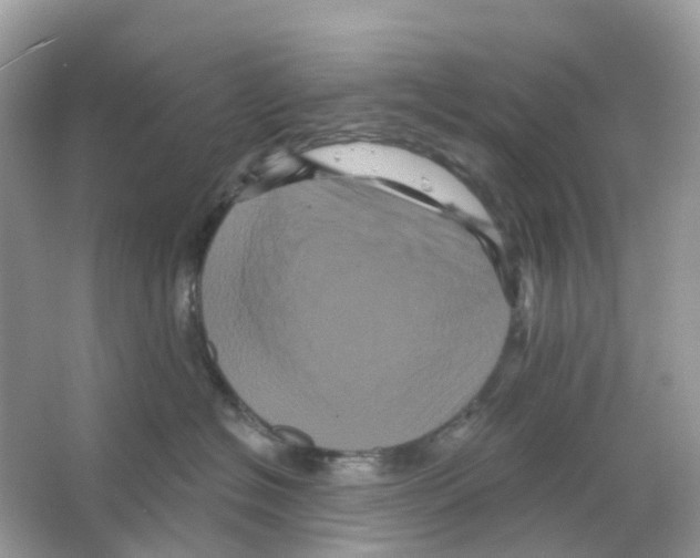X0000065990574200603311934