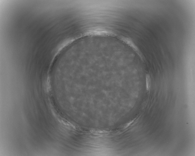 X0000065990579200603311933