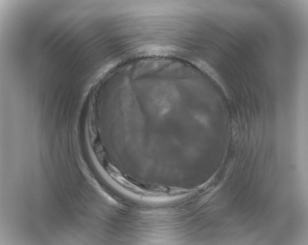 X0000065990581200603311933