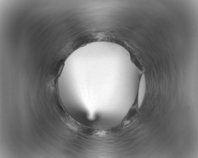 X0000065990611200603311933