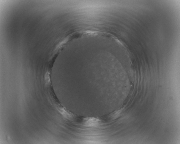 X0000065990621200603311932