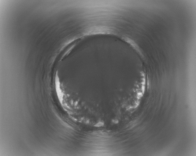 X0000065990627200603311932