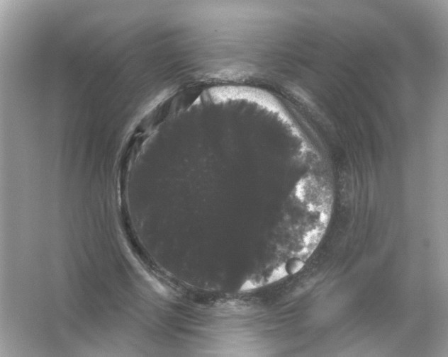 X0000065990634200603311932