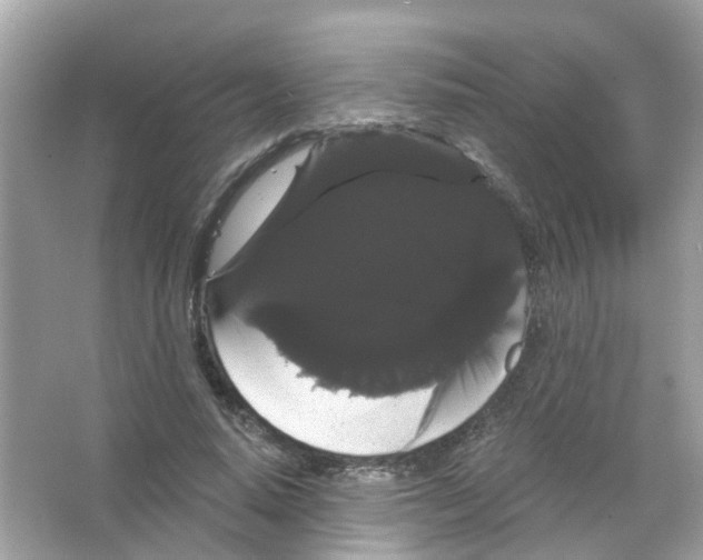 X0000065990640200603311932