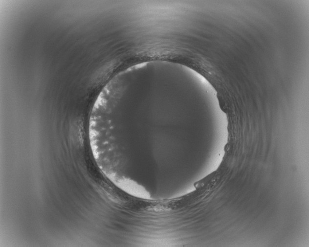 X0000065990644200603311932