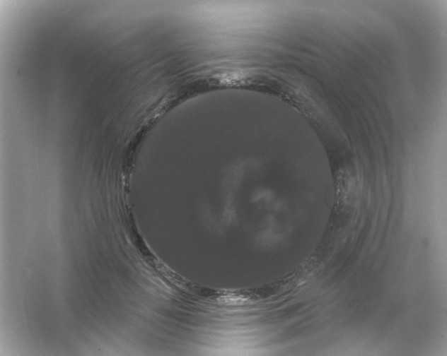X0000065990650200603311932