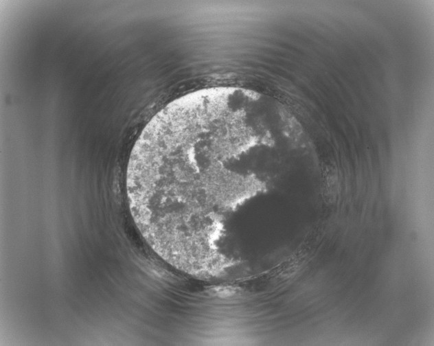 X0000065990654200603311932