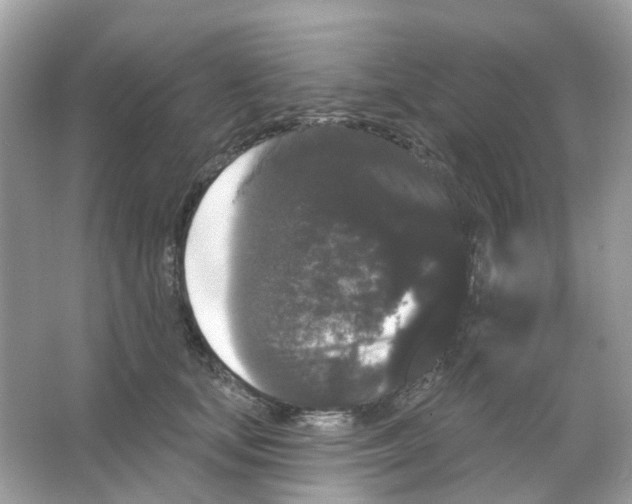 X0000065990659200603311932