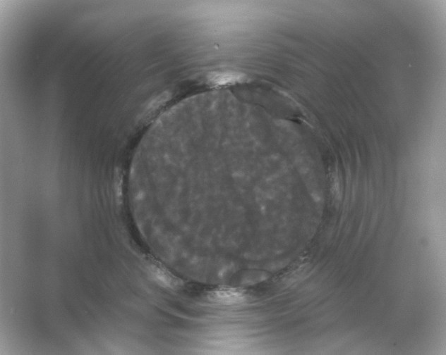 X0000065990668200603311932