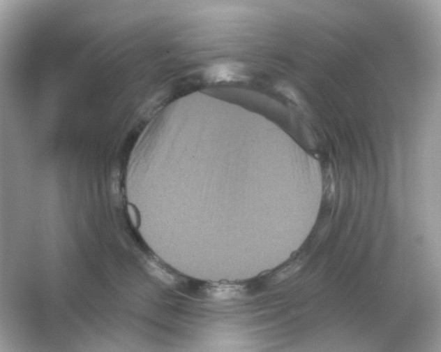 X0000065990670200603311932