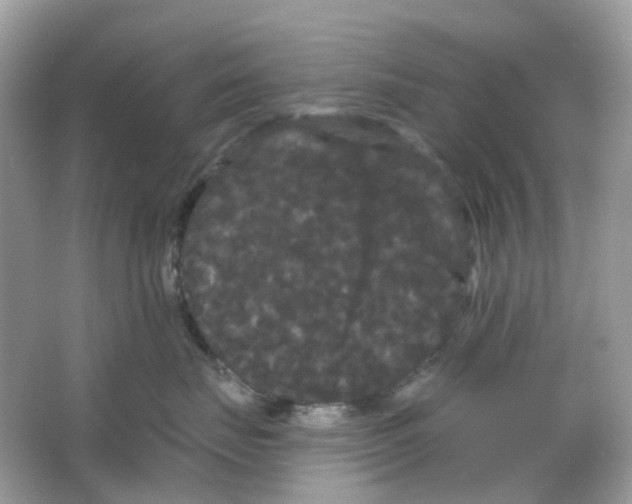 X0000065990671200603311932
