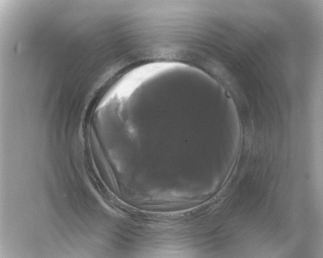 X0000065990674200603311931