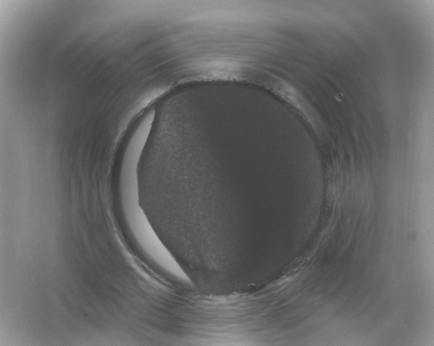 X0000065990677200603311931