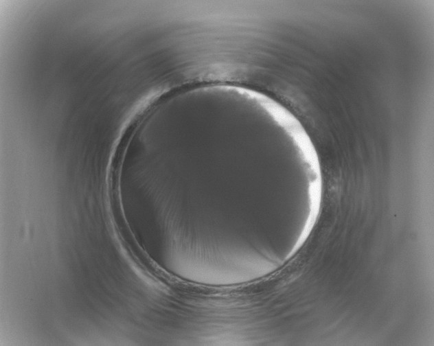 X0000065990678200603311931