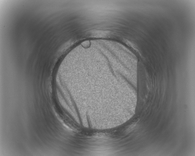 X0000065990682200603311931