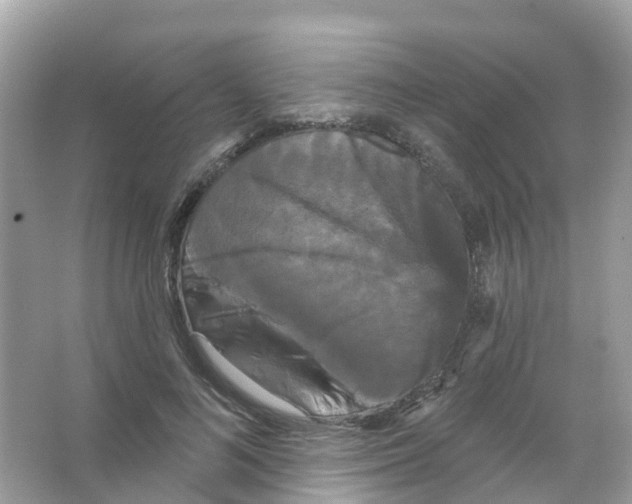 X0000065990692200603311931