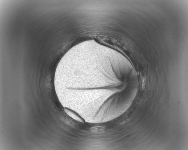 X0000065990700200603311931