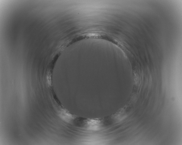 X0000065990718200603311931